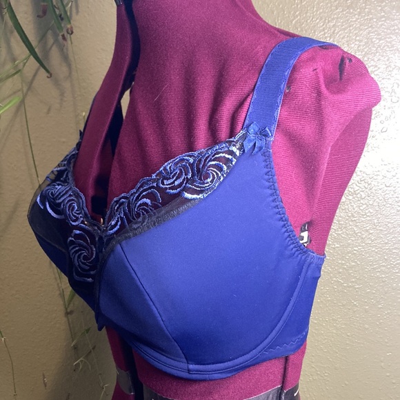 NWOT 70 K Poland bra. (Non USA sizes are different. Check sizing guide) - Picture 2 of 11